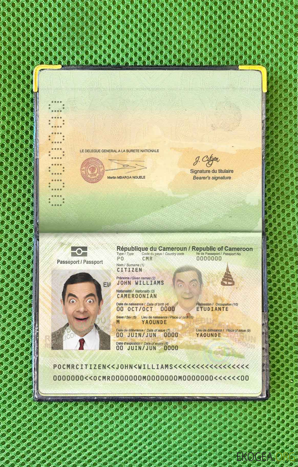 Look photo du passeport camerounais